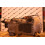 кпп volvo vt2214B